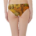 Yellow Zinnias Hipster Bikini Bottoms View2