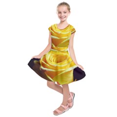 Soft Yellow Rose Kids  Short Sleeve Dress by bloomingvinedesign