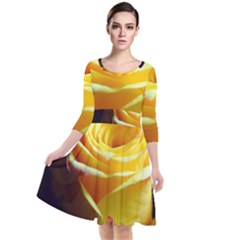 Soft Yellow Rose Quarter Sleeve Waist Band Dress