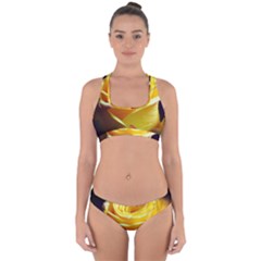 Soft Yellow Rose Cross Back Hipster Bikini Set by bloomingvinedesign