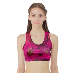 Pink Zinnias Sports Bra With Border by bloomingvinedesign