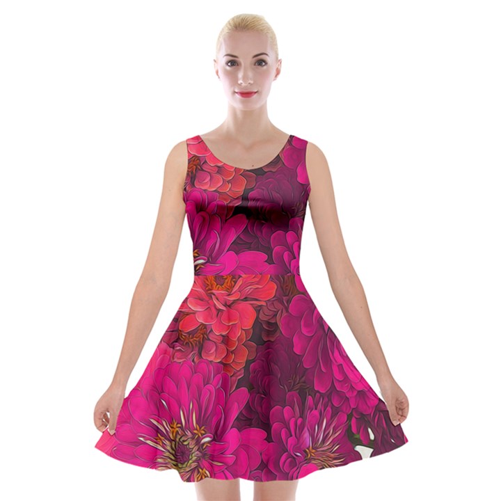 Pink Zinnias Velvet Skater Dress