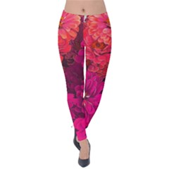 Pink Zinnias Velvet Leggings by bloomingvinedesign