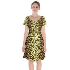 Leopard 1 Leopard A Short Sleeve Bardot Dress by dressshop