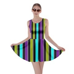 Retro Stripe 1 Version 3 Skater Dress