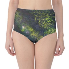 Deep In The Reef Classic High-waist Bikini Bottoms by ArtByAng