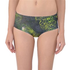 Deep In The Reef Mid-waist Bikini Bottoms by ArtByAng