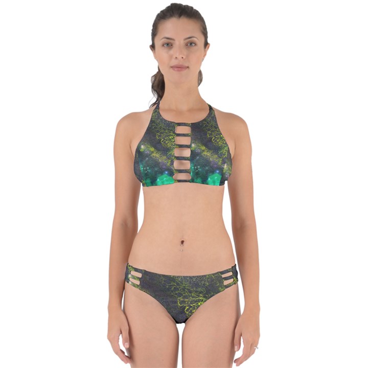 Deep in the Reef Perfectly Cut Out Bikini Set