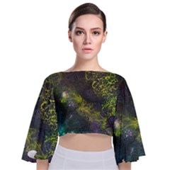 Deep In The Reef Tie Back Butterfly Sleeve Chiffon Top by ArtByAng