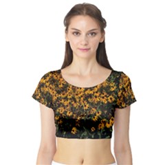 Field Of Yellow Flowers Short Sleeve Crop Top by bloomingvinedesign