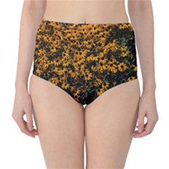 Field Of Yellow Flowers Classic High-waist Bikini Bottoms by bloomingvinedesign