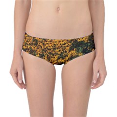 Field Of Yellow Flowers Classic Bikini Bottoms by bloomingvinedesign