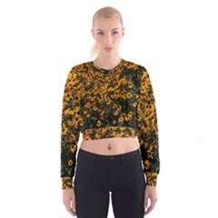 Field Of Yellow Flowers Cropped Sweatshirt by bloomingvinedesign