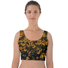 Field Of Yellow Flowers Velvet Crop Top by bloomingvinedesign