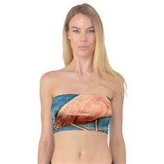 Img 5173 Bandeau Top by ArtByAng