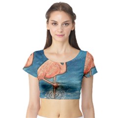 Img 5173 Short Sleeve Crop Top by ArtByAng