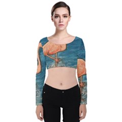 Img 5173 Velvet Long Sleeve Crop Top by ArtByAng