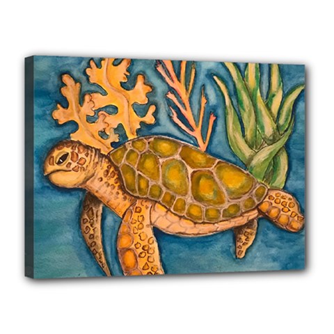 Turty- All Canvas 16  X 12  (stretched) by ArtByAng