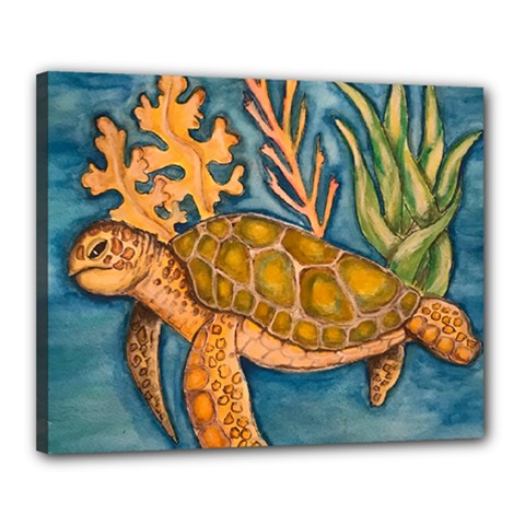 Turty- All Canvas 20  X 16  (stretched) by ArtByAng