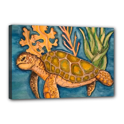 Turty- All Canvas 18  X 12  (stretched) by ArtByAng