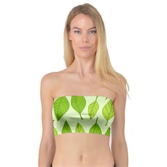 Autumn Pattern Bandeau Top by Hansue