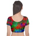 Color Art Bright Decoration Velvet Short Sleeve Crop Top  View2