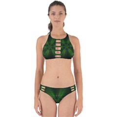 Green Fractal Art Artistic Pattern Perfectly Cut Out Bikini Set by Nexatart