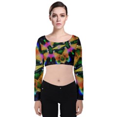 Butterfly Color Pop Art Velvet Long Sleeve Crop Top by Nexatart