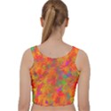 Abstract Pattern Art Canvas Velvet Racer Back Crop Top View2