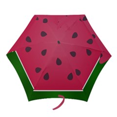 Watermelon Fruit Summer Red Fresh Mini Folding Umbrellas by Nexatart