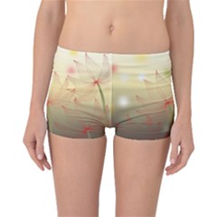 Flower Summer S Nature Plant Boyleg Bikini Bottoms by Nexatart