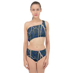 Green Leaves Blue Background Night Spliced Up Two Piece Swimsuit by Nexatart