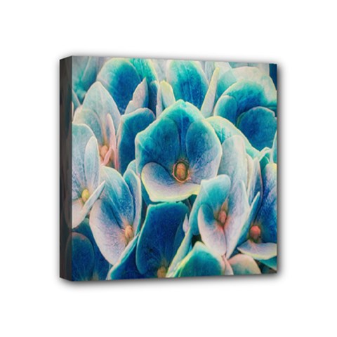 Hydrangeas Blossom Bloom Blue Mini Canvas 4  X 4  (stretched)