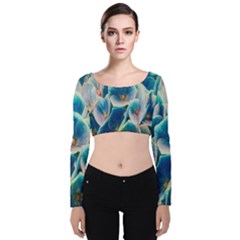 Hydrangeas Blossom Bloom Blue Velvet Long Sleeve Crop Top