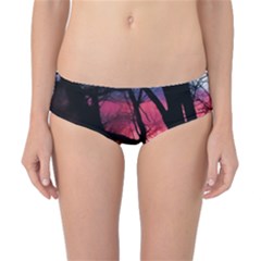 Fall Sunset Through The Trees Classic Bikini Bottoms