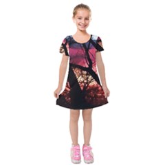 Fall Sunset Through The Trees Kids  Short Sleeve Velvet Dress