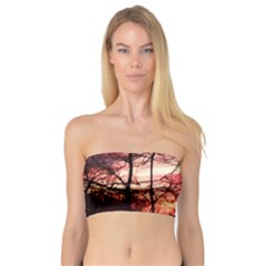 October Sunset Bandeau Top by bloomingvinedesign