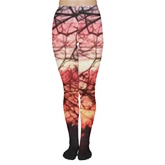 October Sunset Tights by bloomingvinedesign