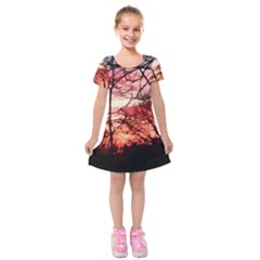 October Sunset Kids  Short Sleeve Velvet Dress by bloomingvinedesign