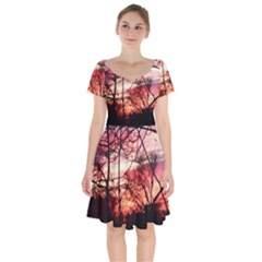 October Sunset Short Sleeve Bardot Dress by bloomingvinedesign