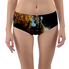 Fall Yellow Swirly Sunlight Reversible Mid-waist Bikini Bottoms by bloomingvinedesign