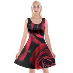 Red Roses Reversible Velvet Sleeveless Dress