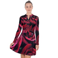 Red Roses Long Sleeve Panel Dress