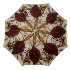 Holy Land Flowers 3 Straight Umbrellas by DeneWestUK