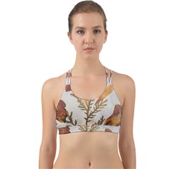 Holy Land Flowers 8 Back Web Sports Bra by DeneWestUK