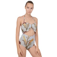 Holy Land Flowers 8 Scallop Top Cut Out Swimsuit