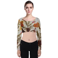 Holy Land Flowers 13 Velvet Long Sleeve Crop Top