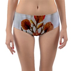 Holy Land Flowers 14 Reversible Mid-waist Bikini Bottoms by DeneWestUK