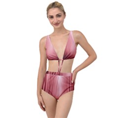 Redforest Tied Up Two Piece Swimsuit