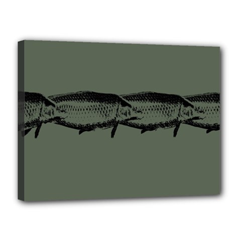 Carp Fish Canvas 16  X 12  (stretched) by kunstklamotte023